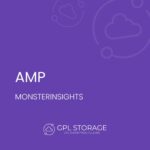 MonsterInsights – AMP Addon