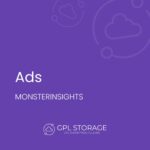 MonsterInsights – Ads Addon