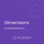 MonsterInsights – Dimensions Addon