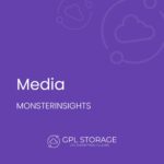 MonsterInsights – Media Addon