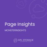 MonsterInsights – Page Insights Addon