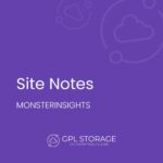 MonsterInsights Site Notes Automations