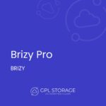 Brizy Pro